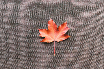 Autumn composition, autumn leaves on a brown sweater background. Flat position, top view, copy space
