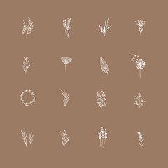 Set of Hand Drawn flower and leaf. Boho botanical logo template. Simple wildflower