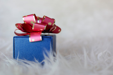 Blue gift box with red bow, isolated on white hairy background. Copyspace right.
