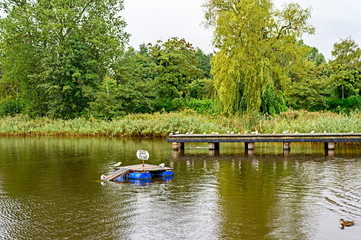 Pond with a wooden footbridge and a wooden island for ducks on a rainy day in Bansin on the island Usedom, Germany.