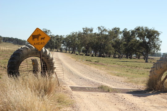 farm property cattle road crossing grid across a dry drought stricken dusty dirt road in rural New South Wales, Australia