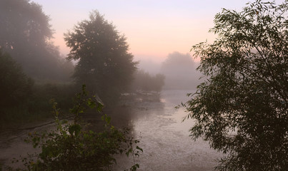 Fototapeta na wymiar Misty morning on the background of the lake. Dawn.