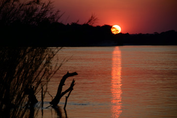 Sunset over Zambezi river, Namibia