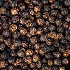 Black Peppercorns Close--Up