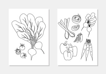vector vegetable element set tomato radish peas onion paprika carrot beetroot coloring book outline