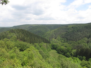 Fototapeta na wymiar aerial view at a green forest in a valley in the belgian ardennes in springtime