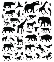Obraz premium Vector flat black set bundle of different wild animals silhouette isolated on white background
