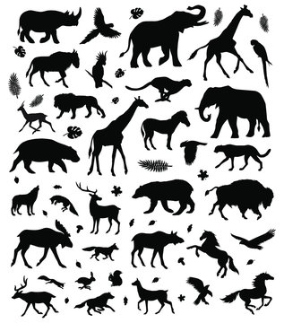 Vector flat black set bundle of different wild animals silhouette isolated on white background