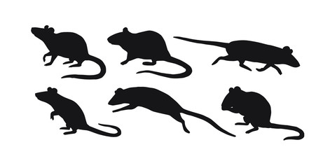 Vector flat black set bundle of rat mouse silhouette isolated on white background
