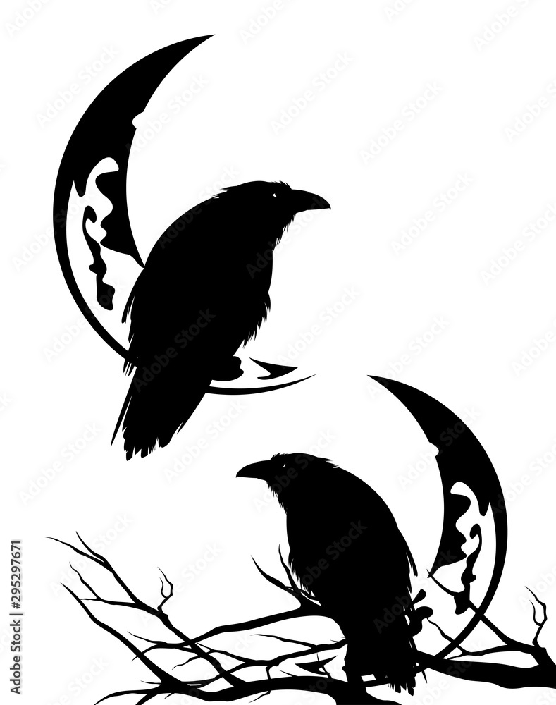 Wall mural raven bird sitting on a bare tree branch with crescent moon outline - halloween scene black and whit
