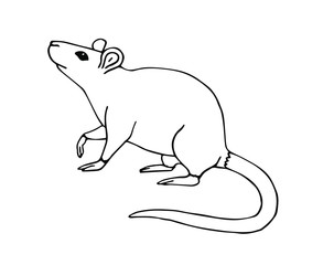 Fototapeta premium Vector hand drawn sketch doodle rat mouse isolated on white background