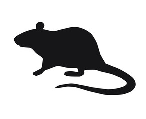 Vector flat black standing rat silhouette isolated on white background