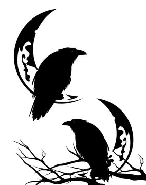 recommend clip art: raven bird sitting on a bare tree branch with crescent moon outline - halloween scene black and white vector silhouette design set