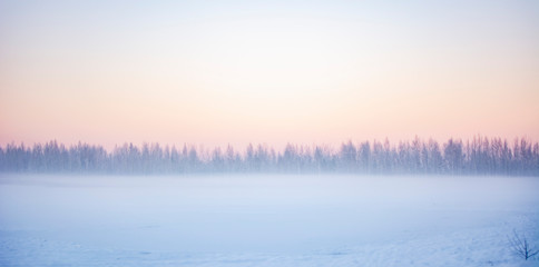 Obraz premium winter landscape with fog and trees