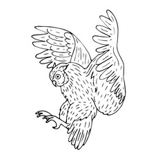 Vector hand drawn sketch flying owl isolated on white background
