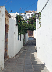 Fototapeta premium quiet narrow typical winding narrow alley in rhodes town with white houses and flowers against a blue summer sky