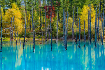 herbstliche Erfrischung © 大西 親文