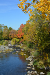 Vibrant orange, yellow, red and green fall colors on trees near waterfall