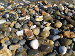 Wet different sea pebbles on the beach