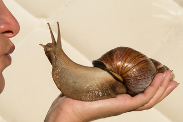 Woman giving kiss to big african snail. Snail cosmetics.
