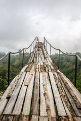 Fototapety  Drewniany most nad dżunglą, który urywa się na końcu.