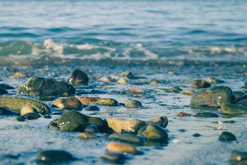 Beach Stones