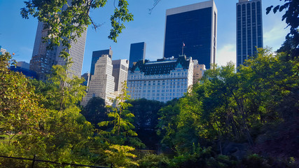 New York City from Central Park