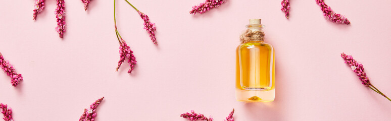 panoramic shot of bottle with oil on pink background with fresh wildflowers