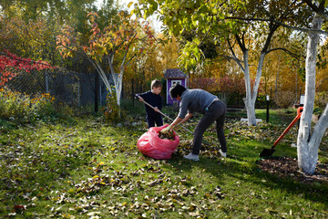A little boy and his mother clean and remove fallen leaves in the garden in autumn