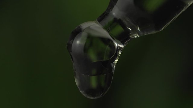 Close up of liquid oil drop from lab pipette on exotic green plant leaf bokeh background. Closeup of lavender extract droplets are falling from glass pipette.