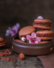 Chocolate macaroons with coffee beans close up on wooden table.