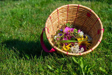 corbeille de fleurs