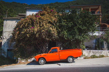 orange pickup truck under the tree