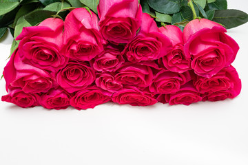 Beautiful fresh bright roses on a light background. Copy space.