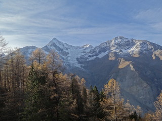 Obraz premium paysage 