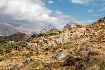 Fototapeta na wymiar Olivenhain bei Plakias, Kreta, Gebirge im Süden, Küste, Griechenland