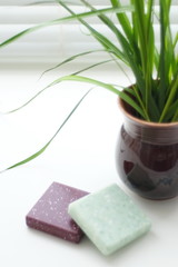 Fresh green plant in a vase and two square stones on the windowsill. Minimalism