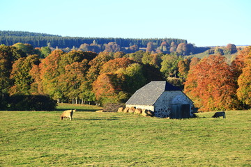 buron Auvergne en automne