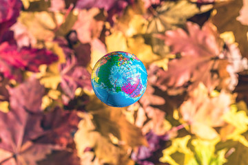 Close up of a small toy globe (Earth) rotation over colorful autumn maple leaves in the forest....