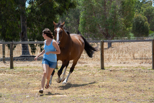 Woman Being Chased By A Horse