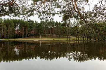 Fototapeta na wymiar Evergreen forest reflection in the water on Zlatibor mountain in Serbia