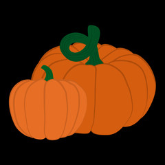 Vector illustration of pumpkins on black background.