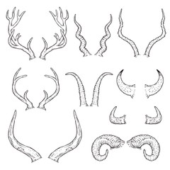 Hand drawn animal horn set - black and white sketch style collection