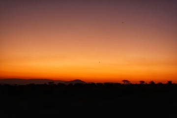オレンジに染まった空