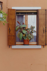 小窓に大きな葉の鉢植え
