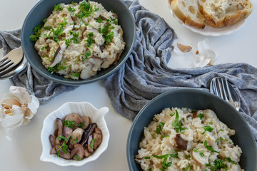 Risotto with porcini mushrooms (Boletus edible)