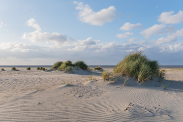 Abendstimmung in den Dünen am Strand – Kijkduin Strand, Den Haag, Holland, Niederlande