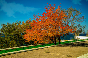 Naklejka premium Осень