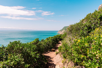 Fototapeta premium Hiking in the garden route, South Africa. Hills and ocean