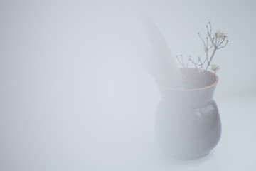 Beautiful delicate flowers in a vase on a white table. Delicate misty tinted, blurred.